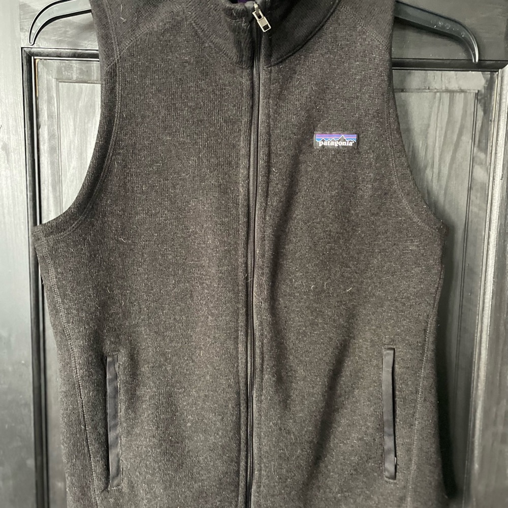 Patagonia Black Fleece Vest with Mountain Logo
